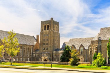 Cornell Üniversitesi