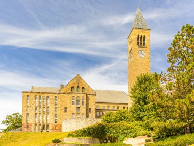 Cornell Üniversitesi