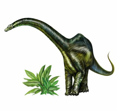 Dev brontozor dinozorunun gerçekçi çizimi, beyaz arka planda izole edilmiş bir çizim.