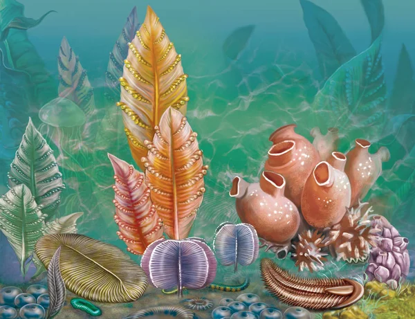 Reproduction Illustration Underwater World Ancient Ocean Garden Ediacara Neoproterozoic Era — Stock Photo, Image