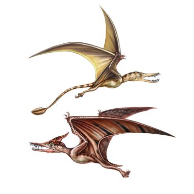 Antik uçan dinozorların gerçekçi çizimleri Pterodactyl ve rhamphorhynchus, beyaz arka planda izole edilmiş çizimler