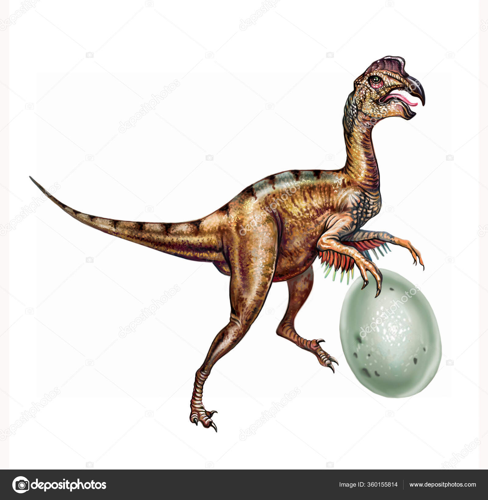 Desenho Realista Oviraptor Com Ovo Ilustração Para Enciclopédia