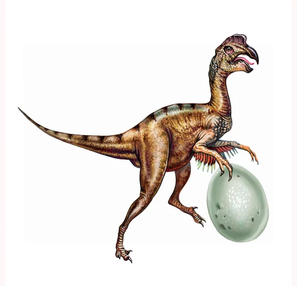 Dessin Réaliste Oviraptor Avec Oeuf Illustration Pour Encyclopédie Dinosaures Caractère — Photo