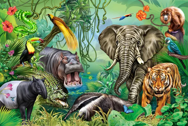 Rainforest animals and plants: elephant, tiger, tapir, howler monkey, parrots, blue morph, hummingbird, boa constrictor, anteater, hippopotamus, bird of paradise, crocodile, toucan, creepers, palm trees, large color poster