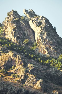 Ağaçlı bir dağın kayalık yamacı. Fransa, Korsika 'da bir dağın zirvesi. Güçlü güneşli sakin bir gün.