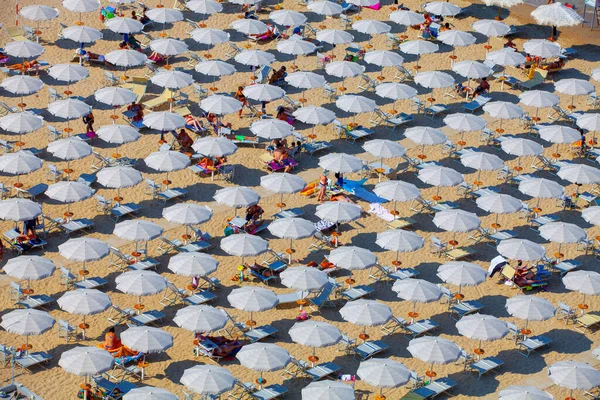 Plaża Wybrzeże Adriatyku Mnóstwem Bezszwowych Parasoli Plażowych Leżaków Wczasowiczów Montesilvano — Zdjęcie stockowe