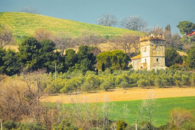 Tarihi bir kulenin kalıntılarıyla dolu bir tepe manzarası. Doğada çayırlar ve yeşil ağaçlar. Konum: İtalya 'nın Abruzzo bölgesinde Silvi kenti.