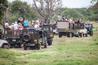 Minneriya, Sri Lanka. 21 Temmuz 2016: Minneriya Milli Parkı. Sri Lanka 'nın ünlü ulusal parkını ziyaret eden çok sayıda turist taşıyan birçok cip. Bir sıra araba hayvan aramak için parka gider..