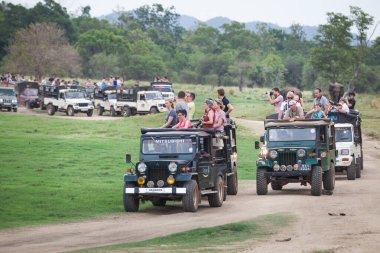 Minneriya, Sri Lanka. 21 Temmuz 2016: Minneriya Milli Parkı. Sri Lanka 'nın ünlü ulusal parkını ziyaret eden çok sayıda turist taşıyan birçok cip. Bir sıra araba hayvan aramak için parka gider..
