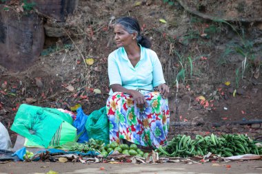 Ella, Sri Lanka. 27 Temmuz 2016: Sri Lanka 'da Ella' da bir kadın sokakta sebze satıyor. Sri Lanka 'da birçok insan meyve ve sebze satarak para kazanıyor..