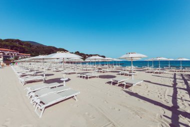 Plaj ve İtalyan Tyrhenian sahilleri, sayısız plaj şemsiyesi, tatilciler için şezlonglar. Arka planda ağaçlar ve doğa.