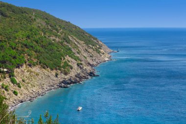 Uçurum dağı ve deniz manzaralı kıyı şeridi. Denizde kayalık bir yüzey. İtalya 'daki Elba Adası. Kayalıklı ve tekneli hava manzarası. Yeşil bitki ve mavi gökyüzü.