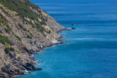 Uçurum dağı ve deniz manzaralı kıyı şeridi. Denizde kayalık bir yüzey. İtalya 'daki Elba Adası. Hava görüntüsü. Yeşil bitki örtüsü.