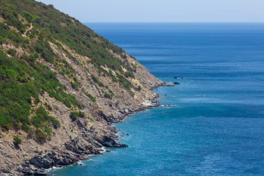 Uçurum dağı ve deniz manzaralı kıyı şeridi. Denizde kayalık bir yüzey. İtalya 'daki Elba Adası. Hava görüntüsü. Yeşil bitki örtüsü.