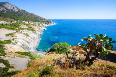 Sahili, kayaları ve İtalya 'daki Elba Adası' nın kayalık yamacıyla. Ön planda bir Akdeniz Kaktüsü ağacı ve panoramik bir manzara. Hava manzaralı mavi deniz. Küçük bir köyün konutları.