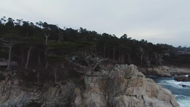 Samotny Cyprys i Ocean Spokojny w pobliżu Monterey. Kalifornia, Usa. Widok z powietrza — Wideo stockowe