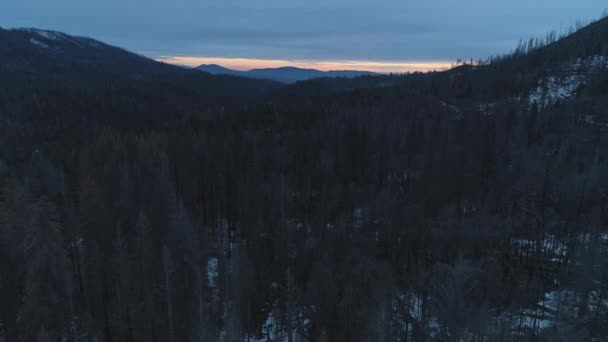 Jehličnatý les. Sierra National Forest, Kalifornie, USA. Letecký pohled — Stock video