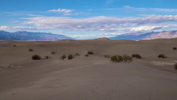 Mesquite Düz Kum tepeleri güneşli bir günde. Death Valley Ulusal Parkı. Kaliforniya, Usa — Stok video