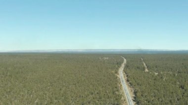 Kaibab Ulusal Ormanı, Büyük Kanyon ve Yolu. Arizona, ABD. Hava Görünümü