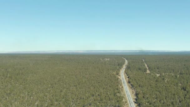 Las Narodowy Kaibab, Wielki Kanion i Droga. Arizona, USA. Widok z powietrza — Wideo stockowe