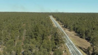 Kaibab Ulusal Ormanı ve Arabası yolda. Arizona, ABD. Hava Görünümü