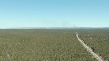 Kaibab Ulusal Ormanı, Büyük Kanyon ve Yolu. Arizona, ABD. Hava Görünümü