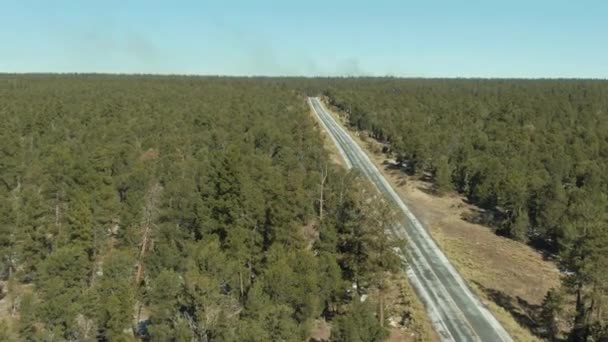 Kaibab National Forest und Auto on Road. Arizona, USA. Luftaufnahme — Stockvideo