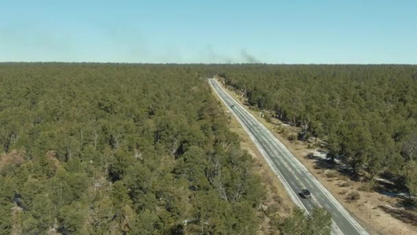 Gröna Kaibab National Forest and Car on Road. Arizona, USA. Flygvy — Stockvideo