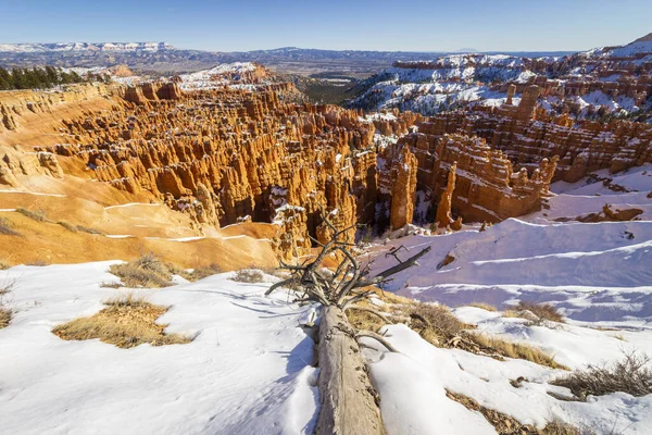 Bryce Canyon Hoodoos zimą w słoneczny dzień. Śnieg. Park Narodowy Bryce Canyon. Utah, USA — Zdjęcie stockowe
