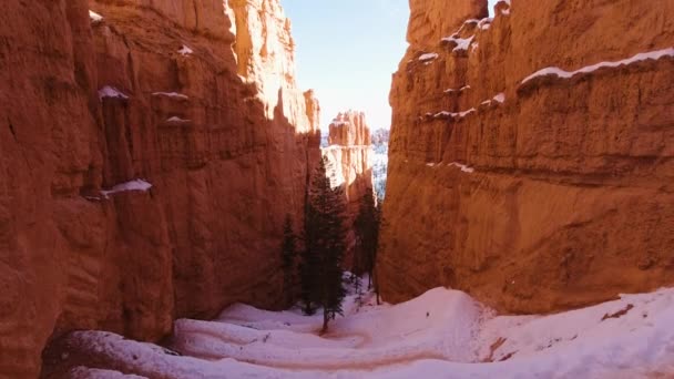 Bryce Canyon v zimě. Navajo Loop Trail. Utah, USA — Stock video