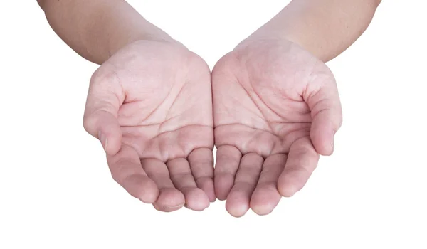 Outstretched Human Hands White Background — Stock Photo, Image