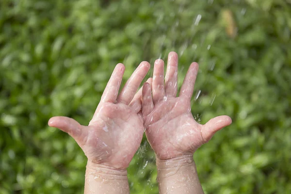 Agua vertiendo en las manos en la hierba verde — Foto de Stock