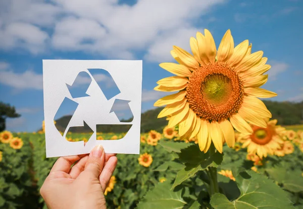 Hand met recycle symbool gemaakt van papier over zonnebloem geplaatst — Stockfoto
