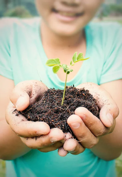 Două Mâini Care Țin Îngrijesc Planta Verde Tânără Aproape — Fotografie, imagine de stoc