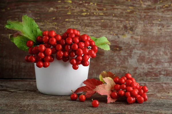 Rowanberry vermelho em um vaso em um fundo de madeira — Fotografia de Stock