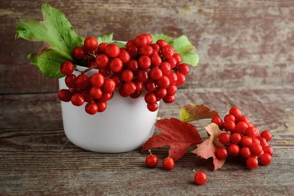 ahşap arka plan üzerinde bir vazoda kırmızı rowanberry