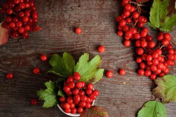 Rowan berries on vintage wooden boards — Stock Photo, Image