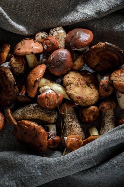 mantar gri bir arka plan üzerinde bir sürü