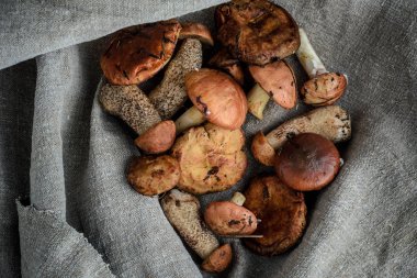 mantar gri bir arka plan üzerinde bir sürü