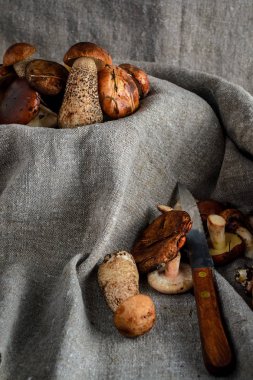 rustik tarzda gri bir arka plan üzerinde mantar