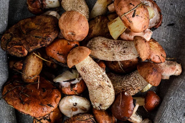 mantar gri bir arka plan üzerinde bir sürü