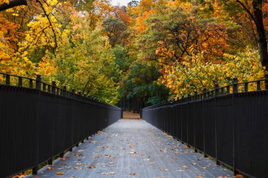 Romantik sokakta güzel bir park ile renkli ağaçlar, sonbahar l