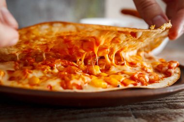 Peynir quesadilla iç çekerek. Lezzetli hızlı sağlıklı beslenme, Meksika Ulusal mutfağı kavramı
