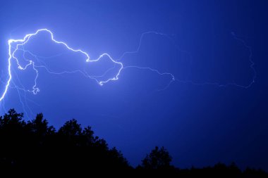 ağaçların üstünde mavi gece gökyüzü karşı yıldırım.