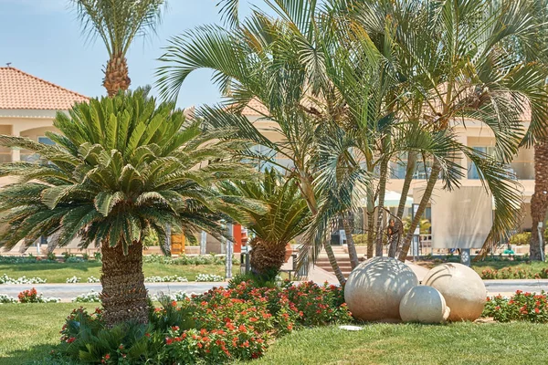 Зеленый сад с пальмами на курорте отеля — стоковое фото