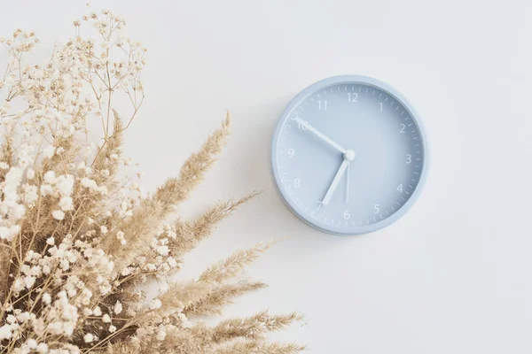 Wekker met een gedroogde plant op witte achtergrond, bovenaanzicht. Minimale platte lay-stijl — Stockfoto