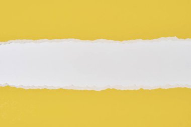 Kopya alanı ile yırtılmış kağıt kenarı, beyaz ve sarı renk