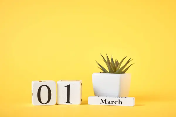 Wooden block calendar with date 1st march and plant on the yellow background. Spring concept — Stock Photo, Image