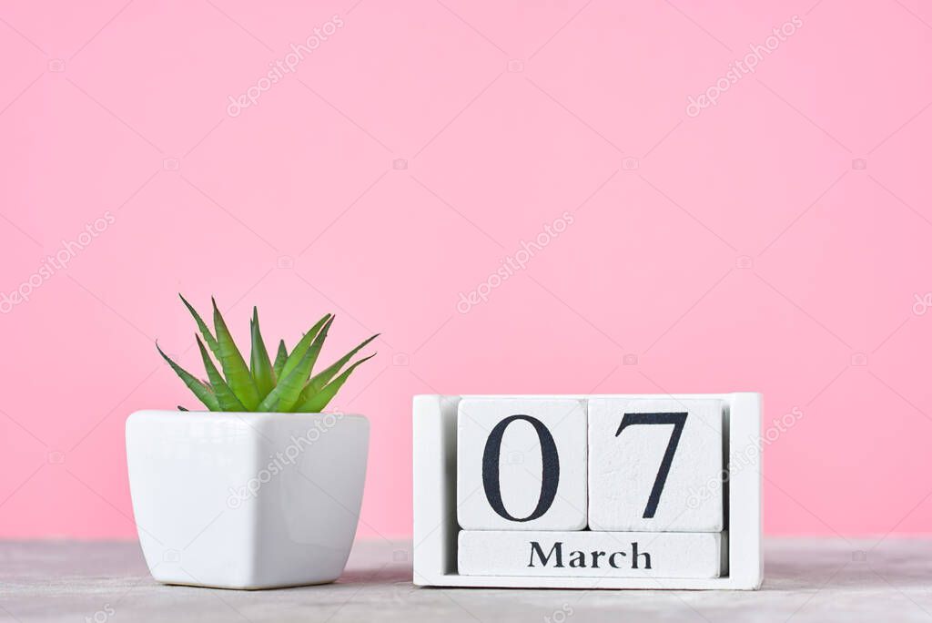 Wooden block calendar with date 7 march and plant on the pink background
