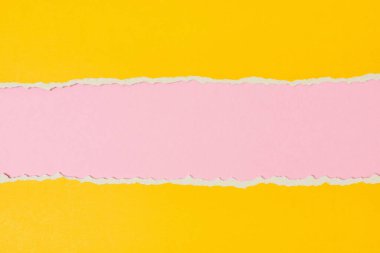 Torn ripped paper edge with copy space, pink and yellow color background